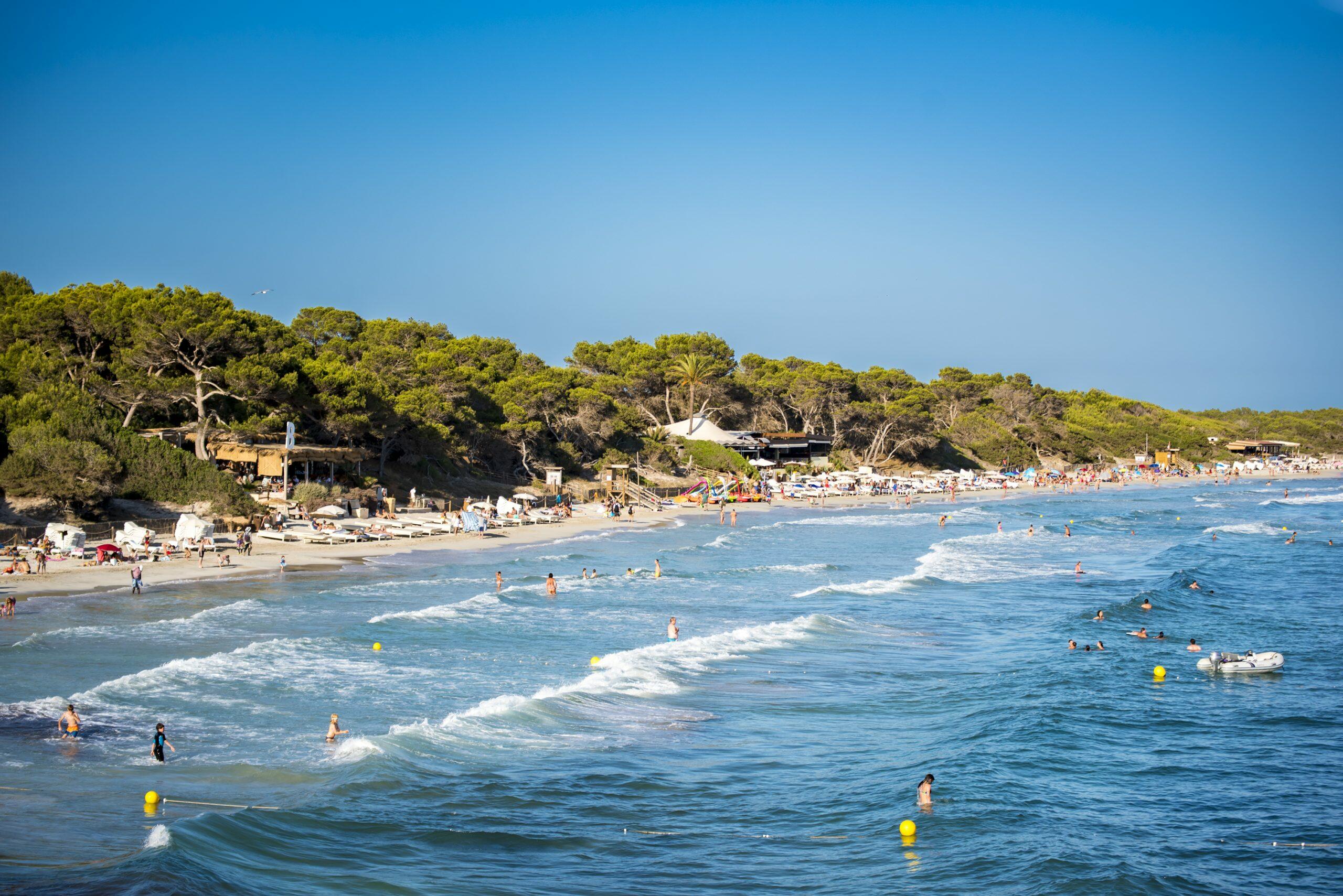 Spiaggia di Ses Salines, Ibiza, con bagnanti nelle onde turchesi e lettini lungo una riva sabbiosa circondata da pini.