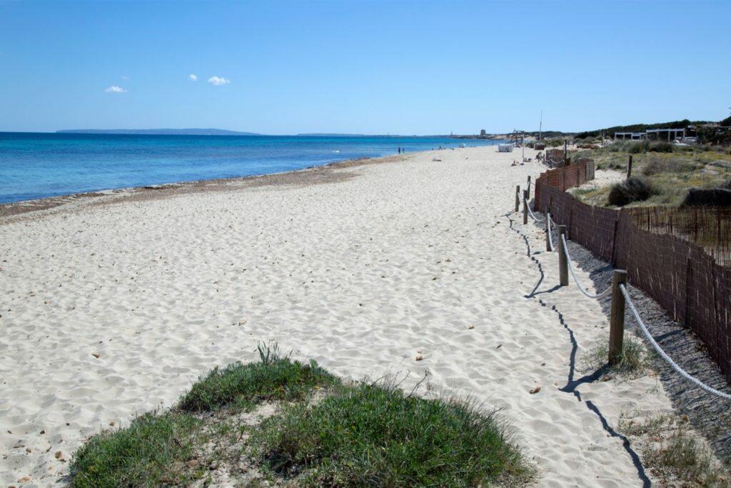 Vivere a Ibiza: Spiaggia di Es Cavallet nella zona di Las Salinas