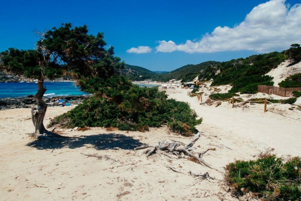 Spiaggia di Las Salinas Ibiza