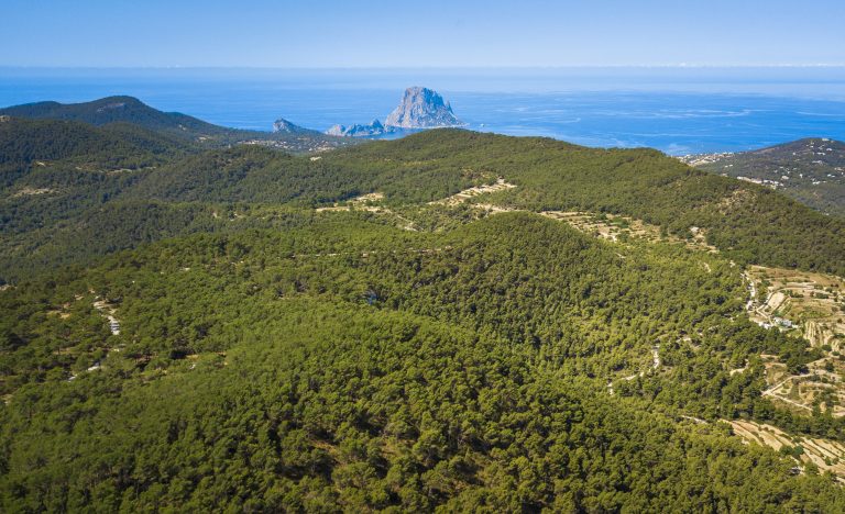 Immobili in vendita e in affitto a San José de Sa Talaia
