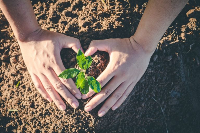 Come ridurre le emissioni di CO₂ e calcolare la propria impronta di carbonio