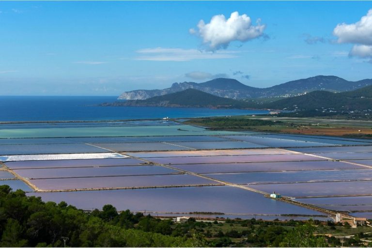 Vivere a Ibiza: La vita a Las Salinas