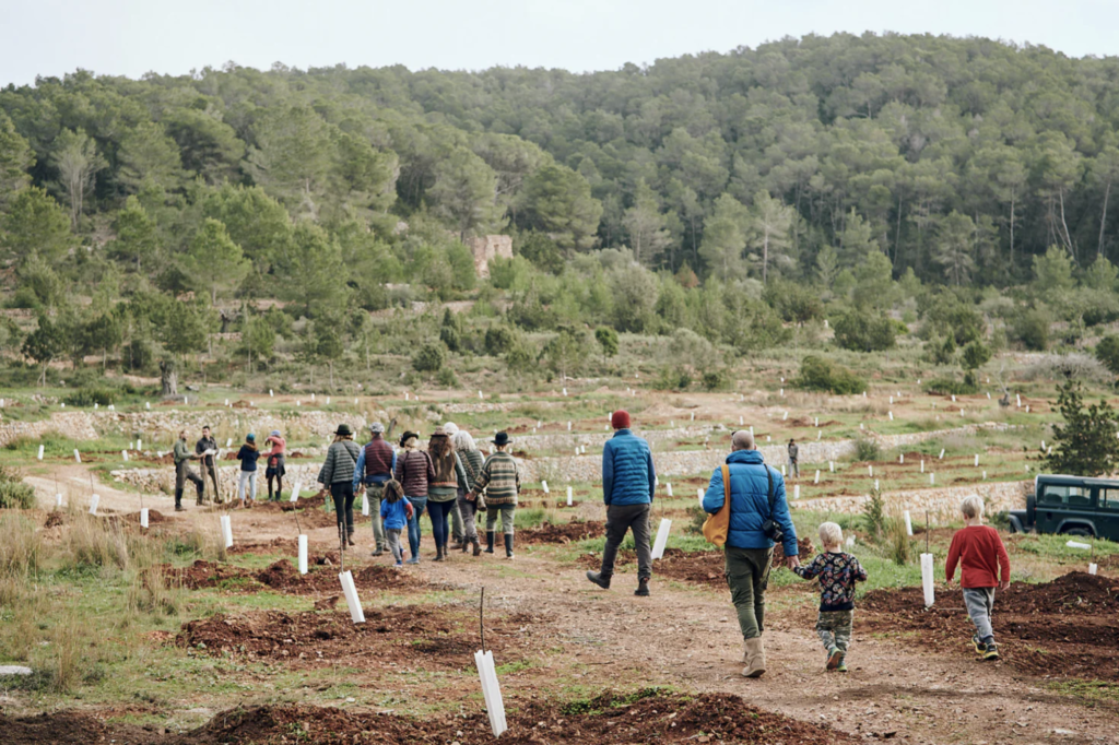 inverno a Ibiza - Fattoria Juntos Ibiza