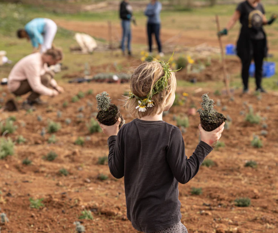 Fattoria Juntos Ibiza