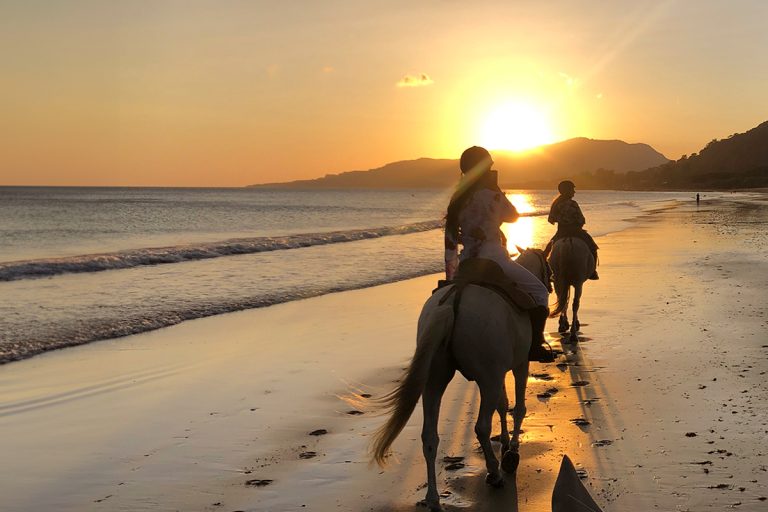 Passeggiate a cavallo