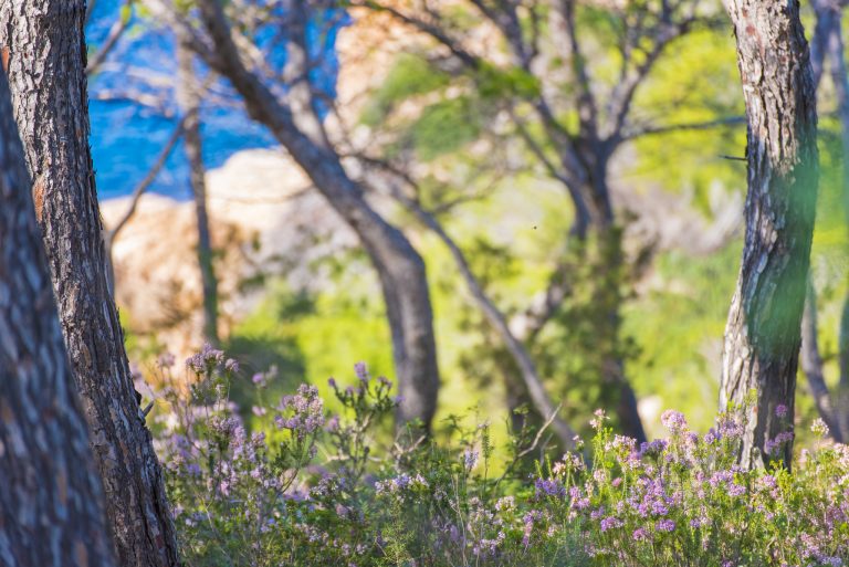 Ibiza in inverno: vita accanto al camino e fascino stagionale