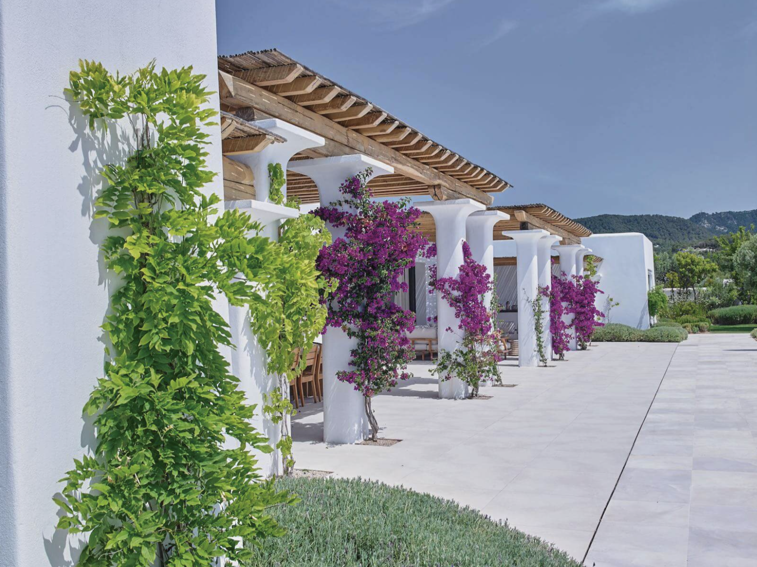 Villa Blakstad a Ibiza con pareti imbiancate a calce, pergolati in legno, bouganville rampicante e giardini paesaggistici.